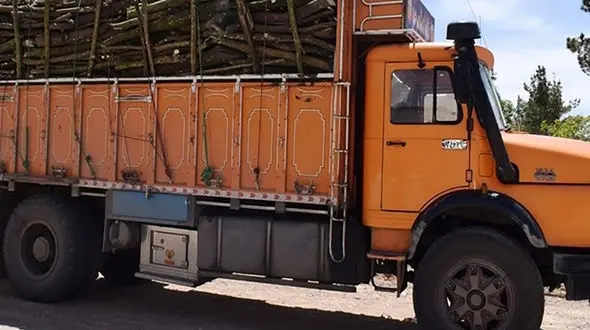 له شدن کودک زیر چرخ های کامیون پدربزرگ