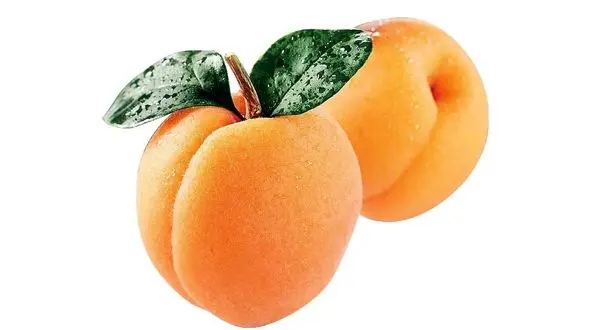  زرد آلو؛ خوبی ها و بدی های این میوه تابستانی خوشمزه