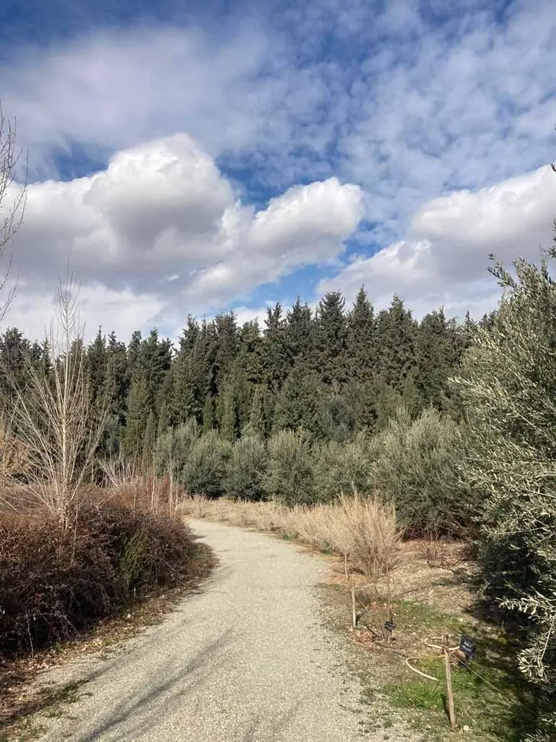 عکس باغ ملی گیاه_ شناسی تهران