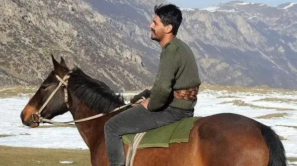 شکارچیان شکم اسب محافظ محیط زیست را دریدند + عکس