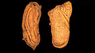 ببینید / قدیمی ترین کفش‌های اروپا کشف شد ! + جزئیات شگفت انگیز