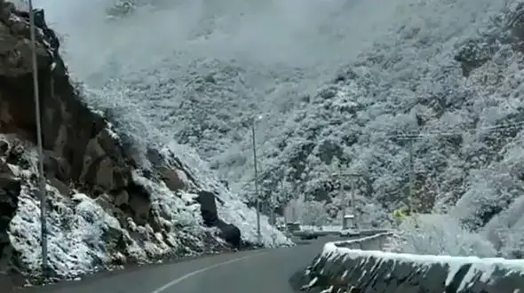 جاده چالوس در برف هم زیباست + فیلم