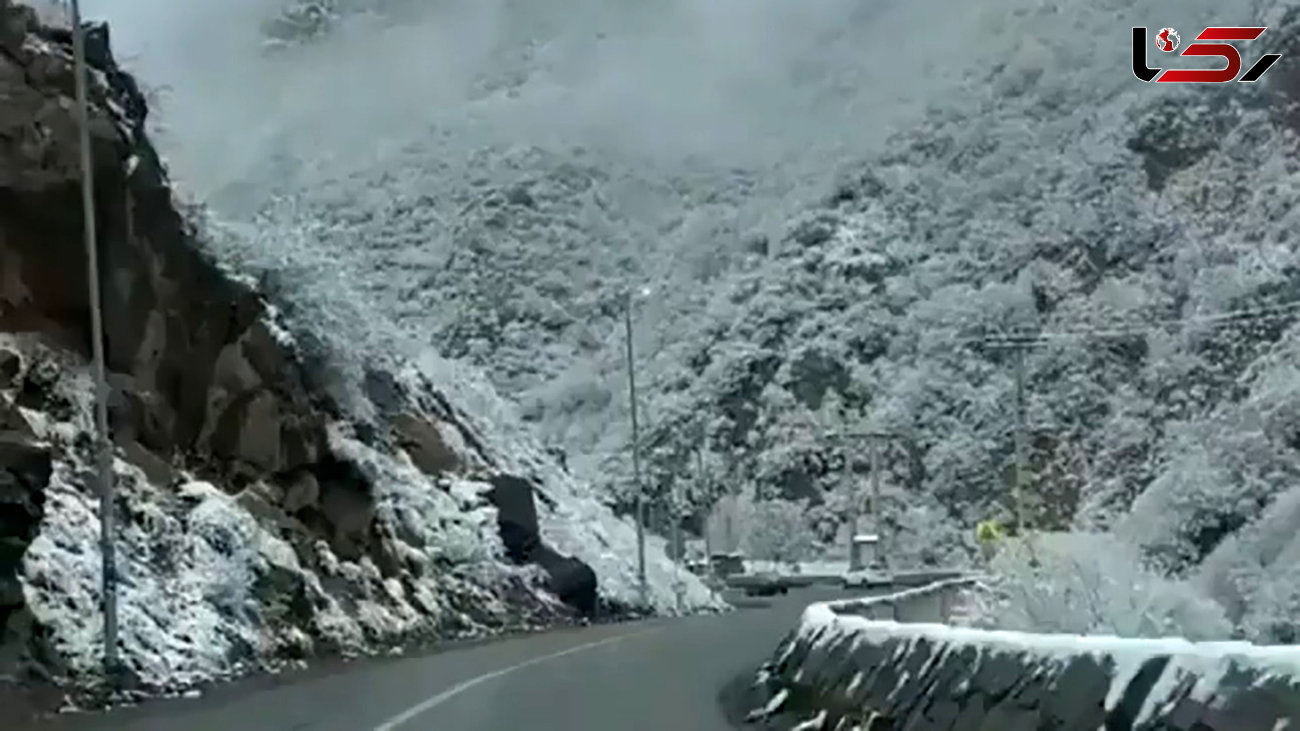 جاده چالوس در برف هم زیباست + فیلم