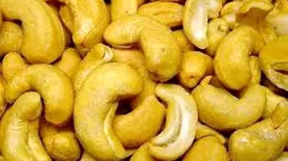 نرخ بادام هندی سر به فلک کشید