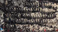 آخرین آمار شهدای دانش آموز به تفکیک استان / آموزش و پرورش اعلام کرد