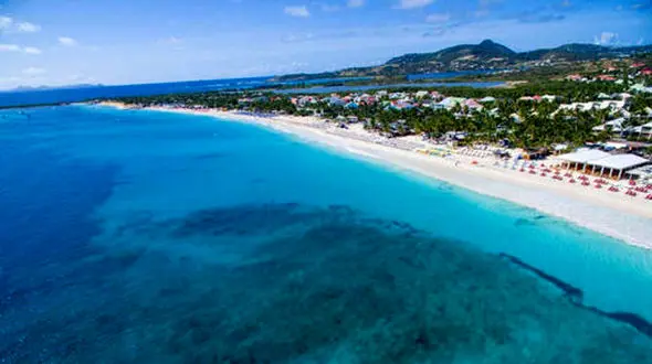 حمله مرگبار کوسه به گردشگر زن در ساحل + عکس / فلوریدا