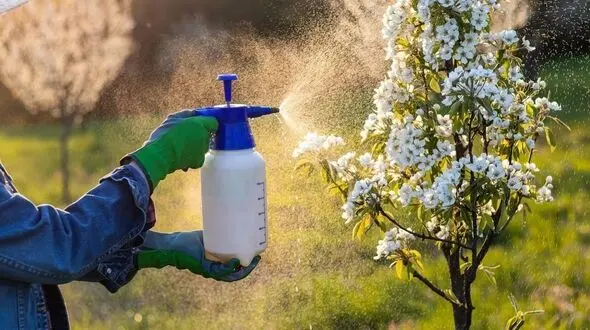 شناسایی ۴۸۵ ماده شیمیایی مرتبط با خطر سرطان پستان در آفت‌کش‌ها