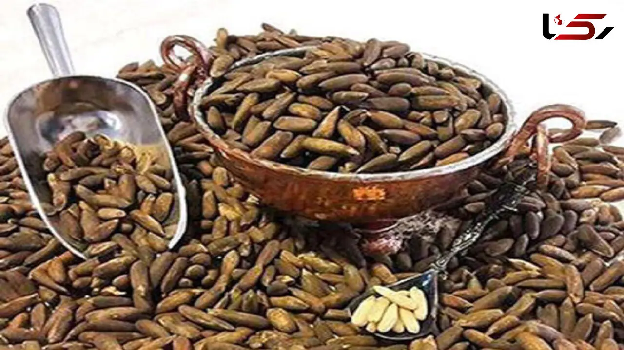 قاچاق چمدانی چلغوز به ایران / کیلویی یک میلیون و 500 هزار تومان!