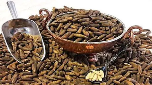 قاچاق چمدانی چلغوز به ایران / کیلویی یک میلیون و 500 هزار تومان!