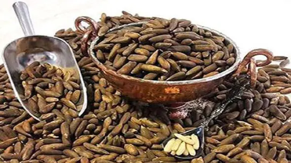 قاچاق چمدانی چلغوز به ایران / کیلویی یک میلیون و 500 هزار تومان!