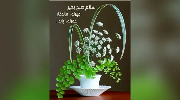 فال ابجد 14 شهریور