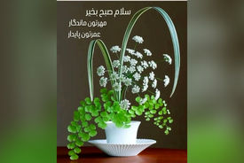 فال ابجد 14 شهریور