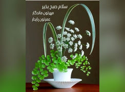 فال ابجد 14 شهریور