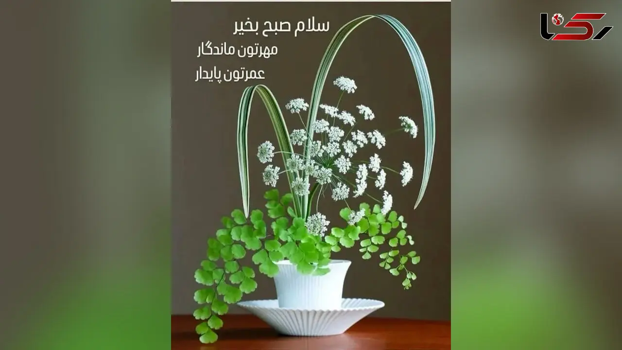 فال روزانه 20 خرداد ماه