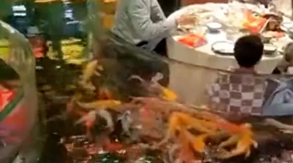 از رستوران ماهی در ژاپن تا پلی استیشن اقتصادی