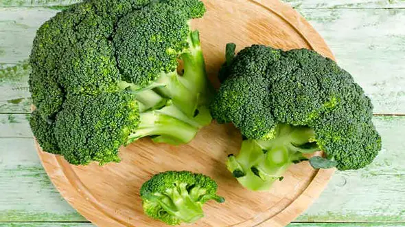 17 غذای منبع کلسیم و ضد پوکی استخوان