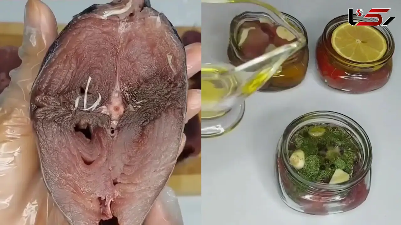 کنسرو تن ماهی را خودت بپز + فیلم