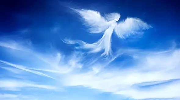 این 3 زن ایرانی جهان را تکان دادند ! /  آنها فرشته اند ! + اسامی و عکس ها