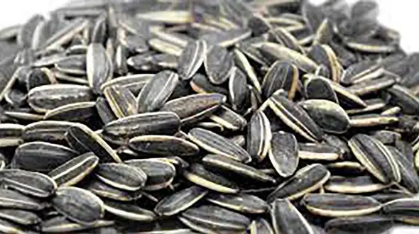 با این خوراکی ها رودل می کنید!