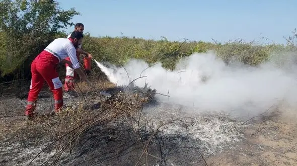 مهار آتش در میانکاله / بالگرد به پناهگاه حیات وحش رسید + فیلم