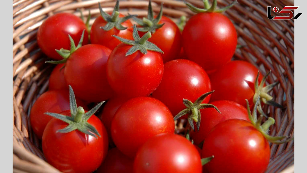 گوجه فرنگی و شگفتی های آن برای کاهش خطر سرطان پوست 