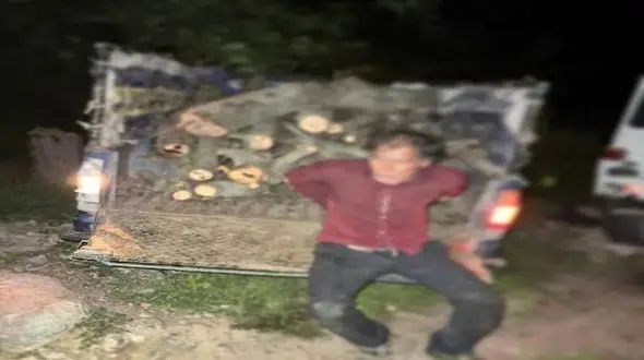 متخلف قطع درخت باعث مجروح شدن مامور منابع طبیعی گرگان شد + عکس