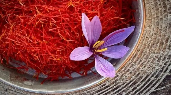 معجزه طلای سرخ در زیبایی