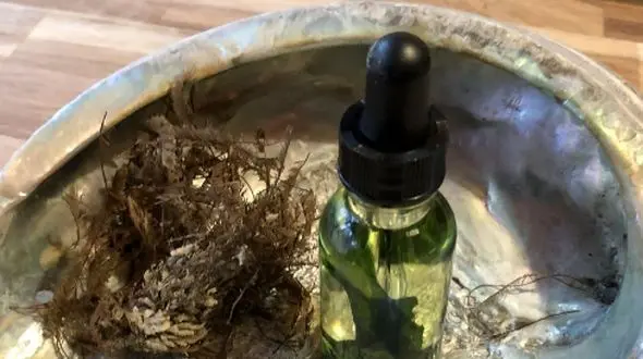 راز آشپزی سالم با روغن جلبک چیست؟