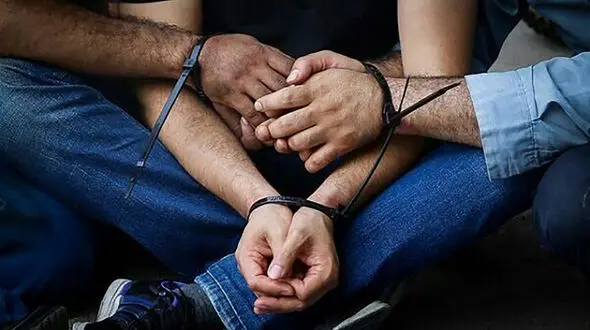 ۵ سارق حرفه‌ای در شیروان دستگیر شدند