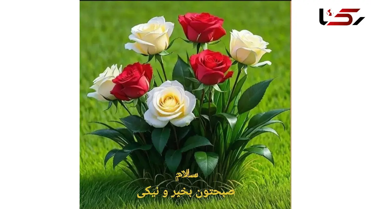 فال و طالع بینی امروز 24 مرداد + فیلم 