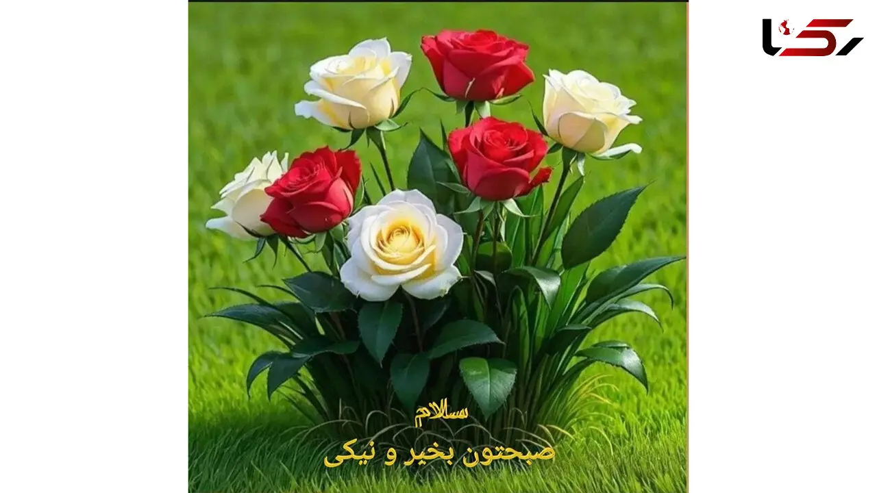 فال و طالع بینی امروز 24 مرداد + فیلم 