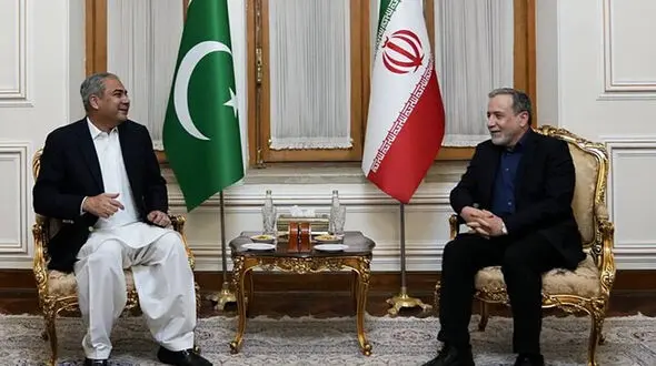 وزیر کشور پاکستان با عراقچی دیدار کرد