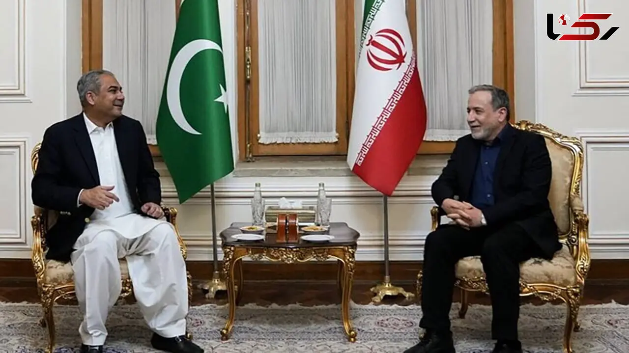 وزیر کشور پاکستان با عراقچی دیدار کرد