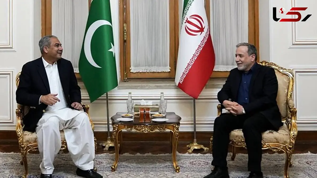 وزیر کشور پاکستان با عراقچی دیدار کرد