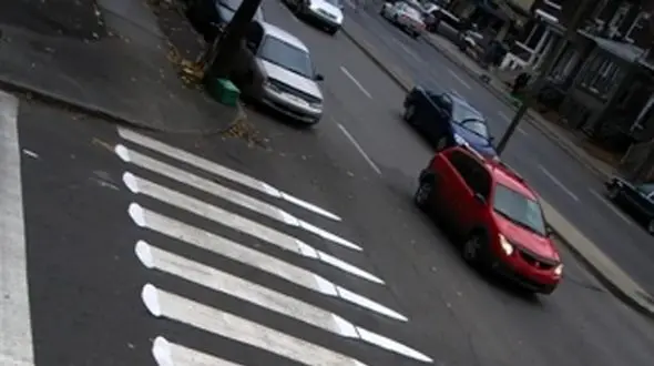 خلاقیت هنری حیرت‌ انگیز: تبدیل خط عابر پیاده به اسکلت ماهی توسط هنرمند کانادایی