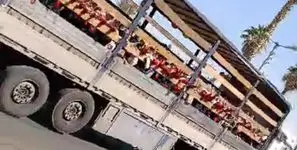 فیلم جابه‌جایی دانش‌آموزان یک مدرسه با کامیون در جهرم ! / مسئولان مدرسه به آموزش و پرورش احضار شدند