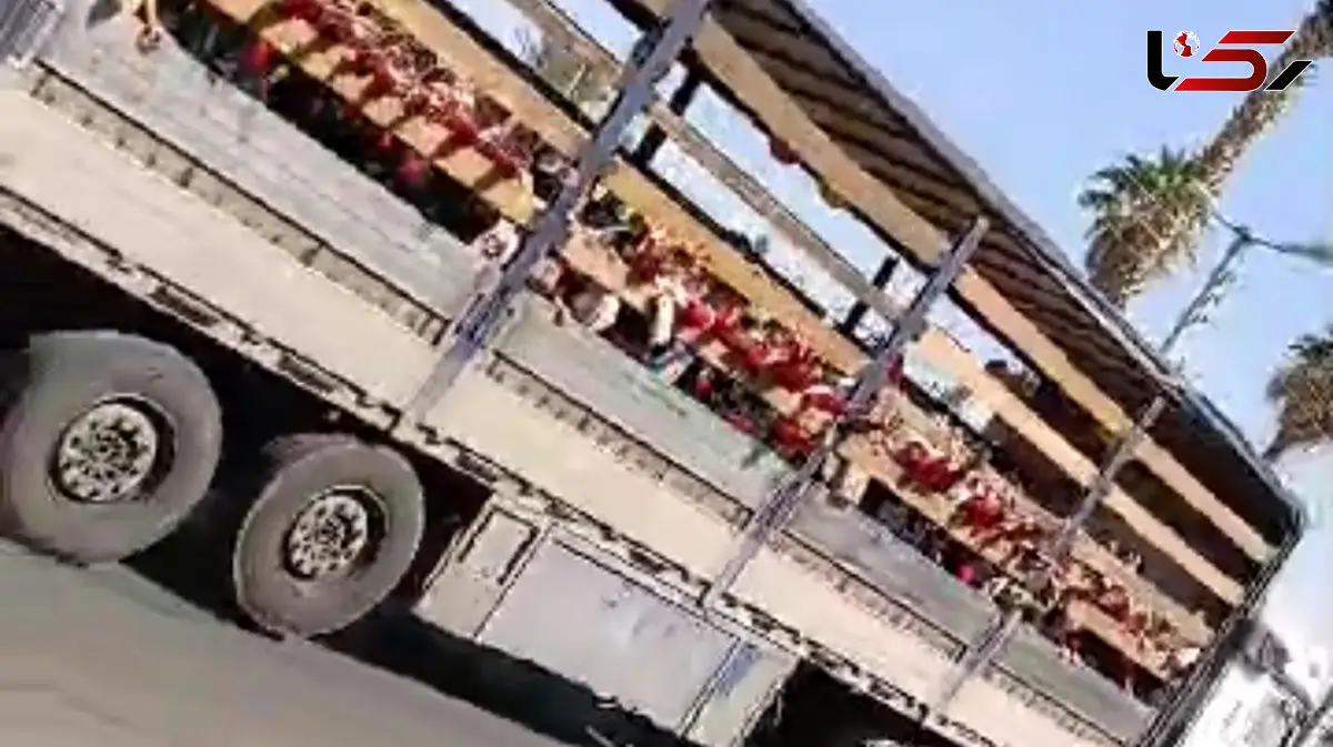 فیلم جابه‌جایی دانش‌آموزان یک مدرسه با کامیون در جهرم ! / مسئولان مدرسه به آموزش و پرورش احضار شدند