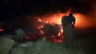  جنگل های گیلانغرب باز هم دچار آتش سوزی شد