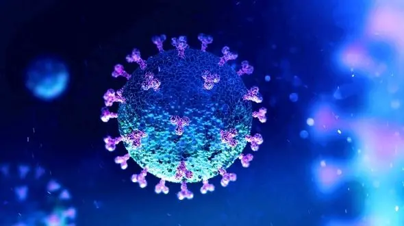  نماینده کهگیلویه کرونا گرفت