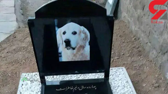  دستگیری ۳ نفر از عوامل دفن یک سگ در قبرستان سنگر رشت+ عکس سنگ قبر