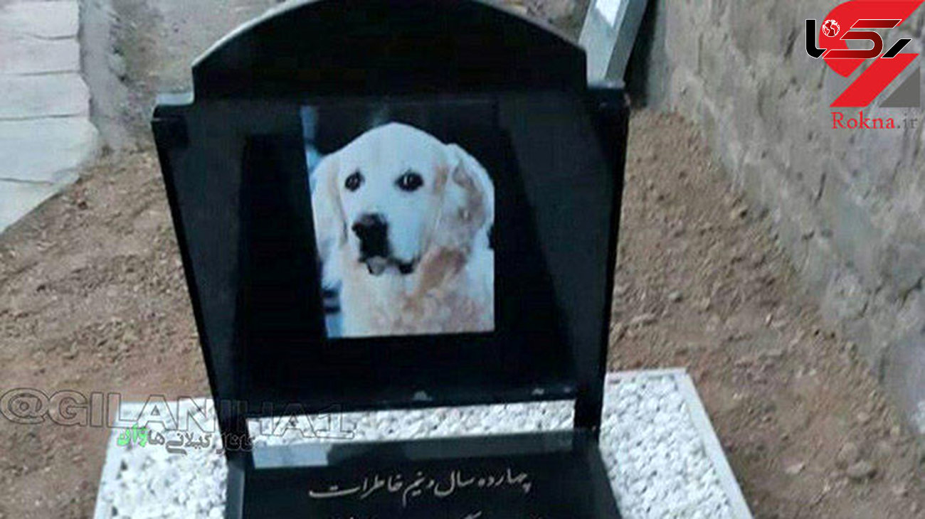  دستگیری ۳ نفر از عوامل دفن یک سگ در قبرستان سنگر رشت+ عکس سنگ قبر