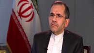 Iran has not pulled out of the JCPOA: Envoy