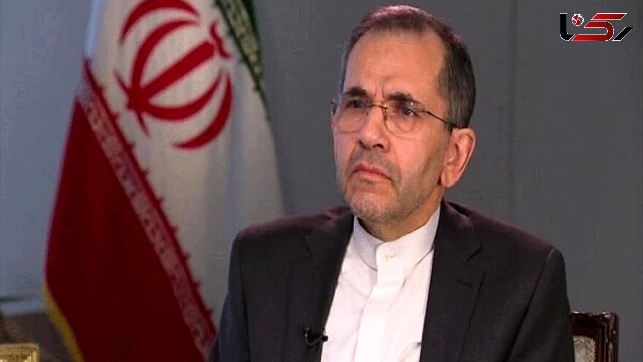 Iran has not pulled out of the JCPOA: Envoy