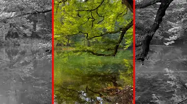 فیلم جادوی طبیعت مازندران در فراخین