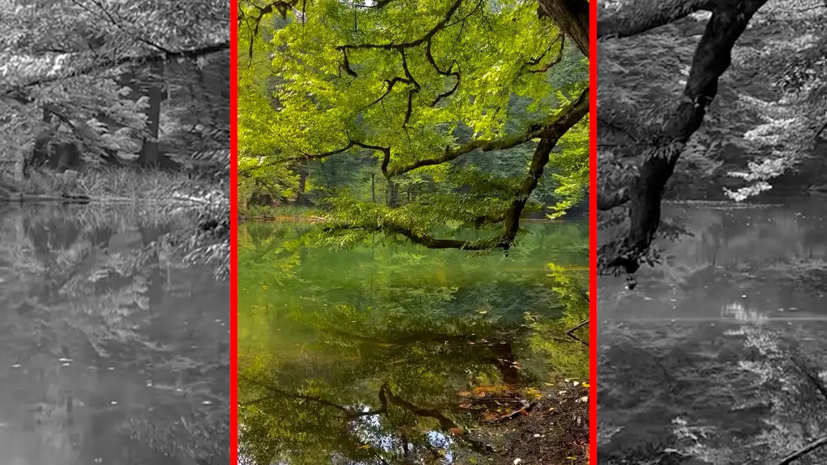 فیلم جادوی طبیعت مازندران در فراخین