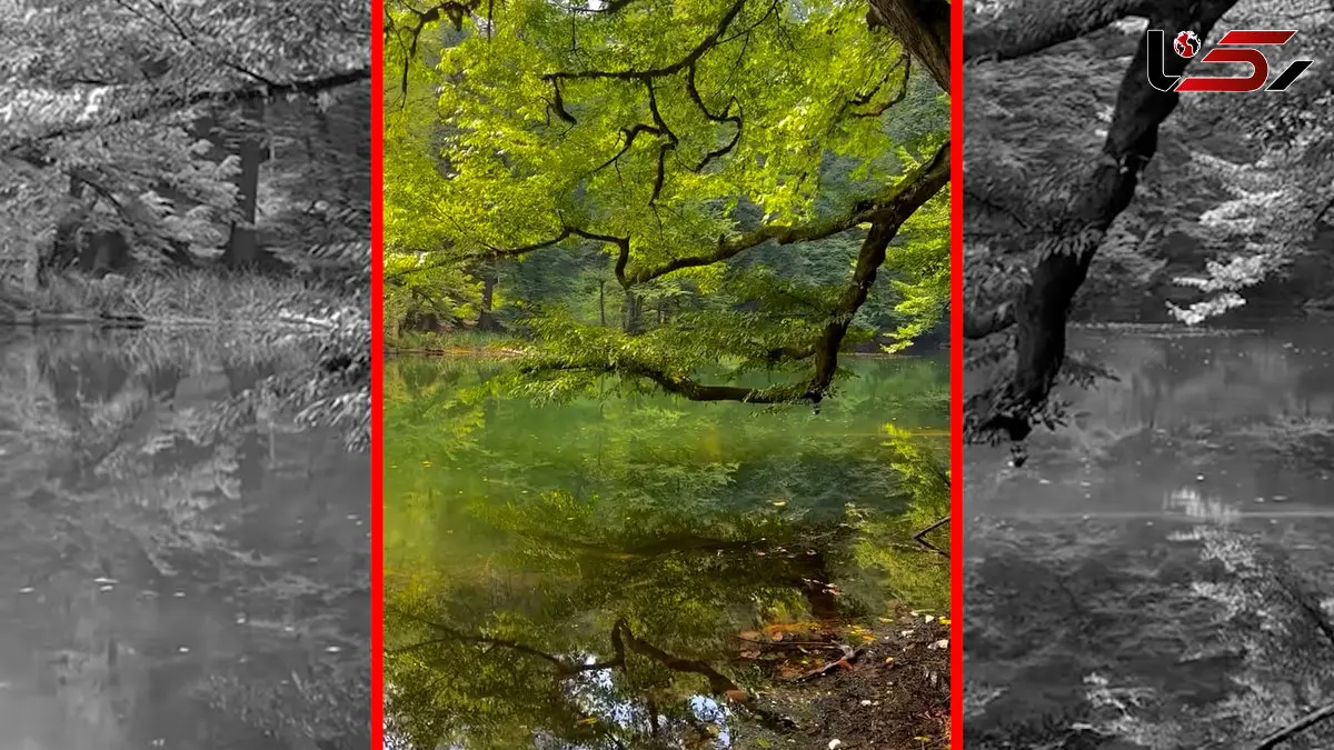 فیلم جادوی طبیعت مازندران در فراخین