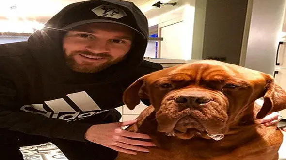 فیلم / سگ غول پیکر مسی آرژانتینی‌ها را شوکه کرد + عکس