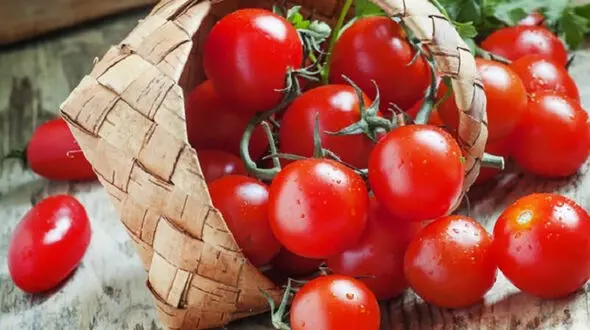 گوجه گیلاسی چه خواصی دارد ؟ + دستور تهیه غذاهای مصرفی