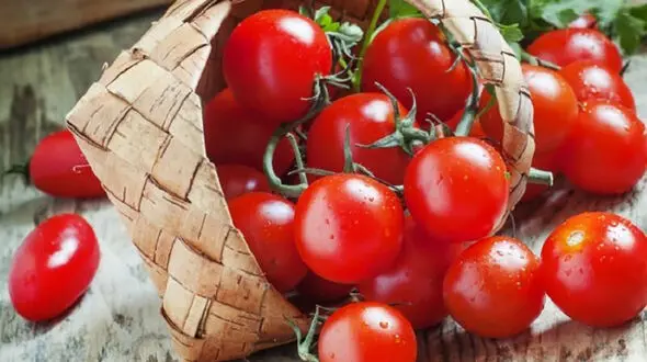 گوجه گیلاسی چه خواصی دارد ؟ + دستور تهیه غذاهای مصرفی