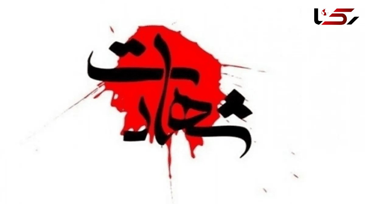 شهادت دلیرانه 2 مدافع امنیت در سروآباد